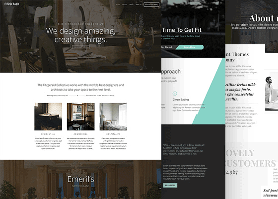 Divi by Elegant Themes