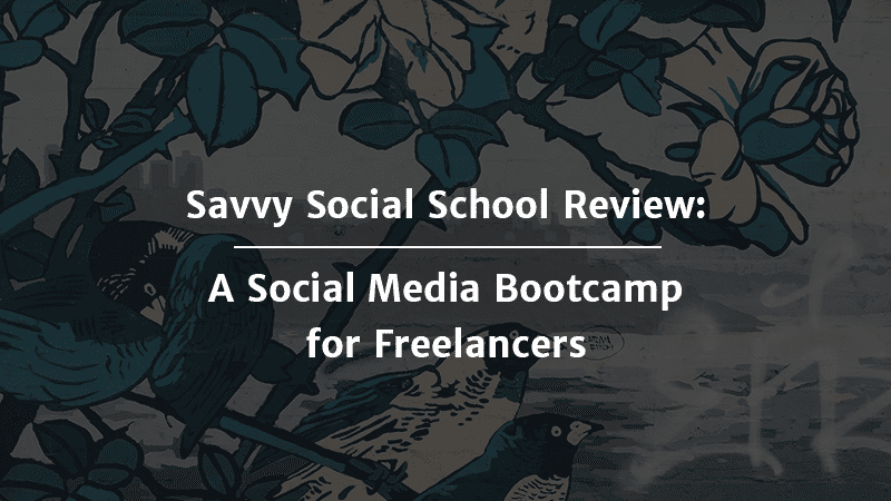 Savvy Social School Review A Social Media Bootcamp for Freelancers