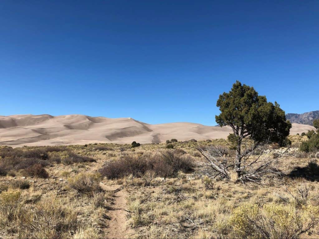 Great Sand Dunes