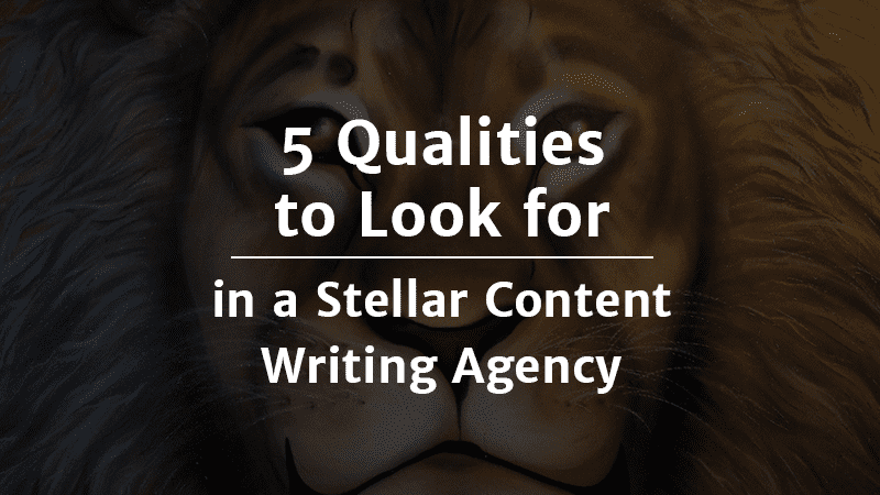 5 Qualities to Look for in a Stellar Content Writing Agency