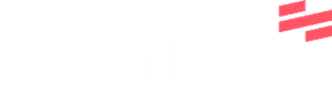 Scribe logo for case study