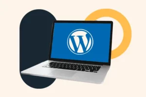 hubspot accessibility plugins