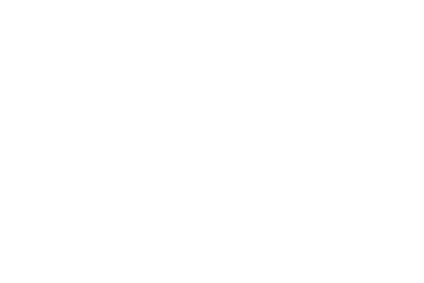 The Blogsmith logo